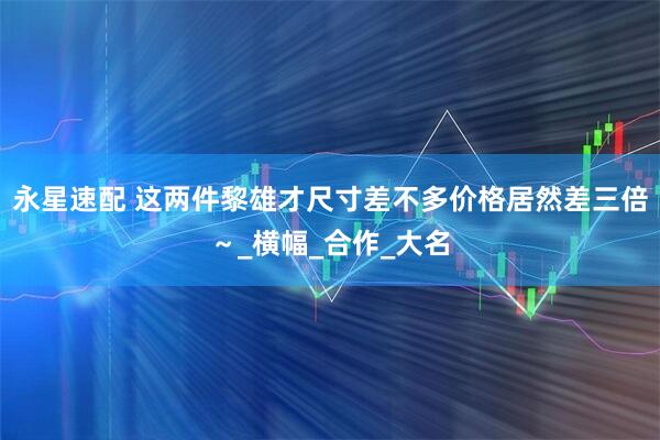 永星速配 这两件黎雄才尺寸差不多价格居然差三倍～_横幅_合作_大名