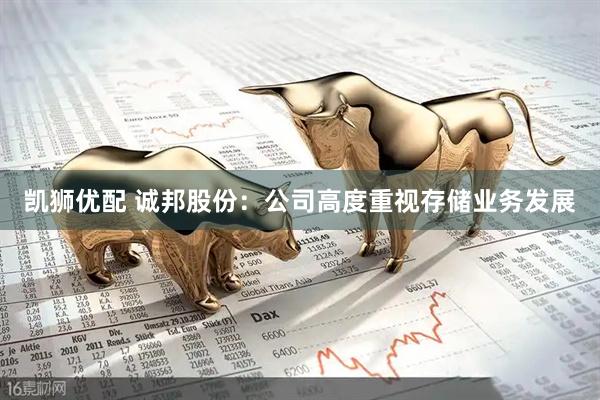 凯狮优配 诚邦股份：公司高度重视存储业务发展