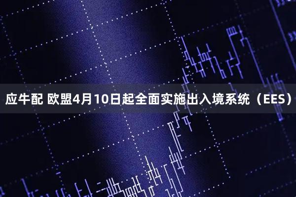 应牛配 欧盟4月10日起全面实施出入境系统（EES）