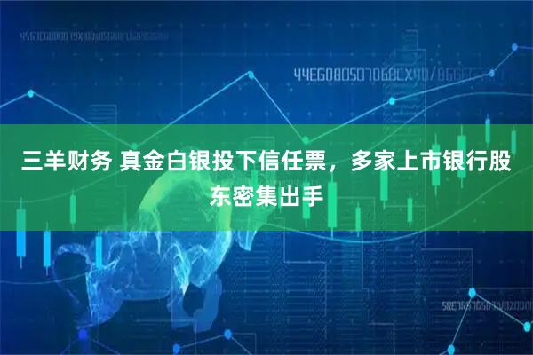 三羊财务 真金白银投下信任票，多家上市银行股东密集出手